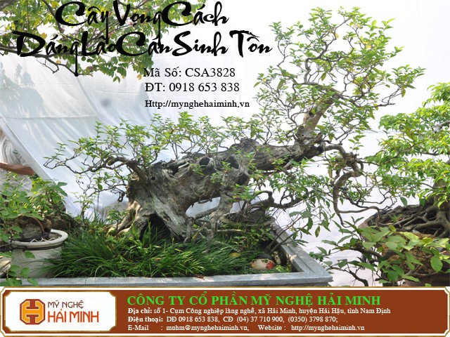 Do go my nghe Hai Minh - Hai Hau - Nam Dinh