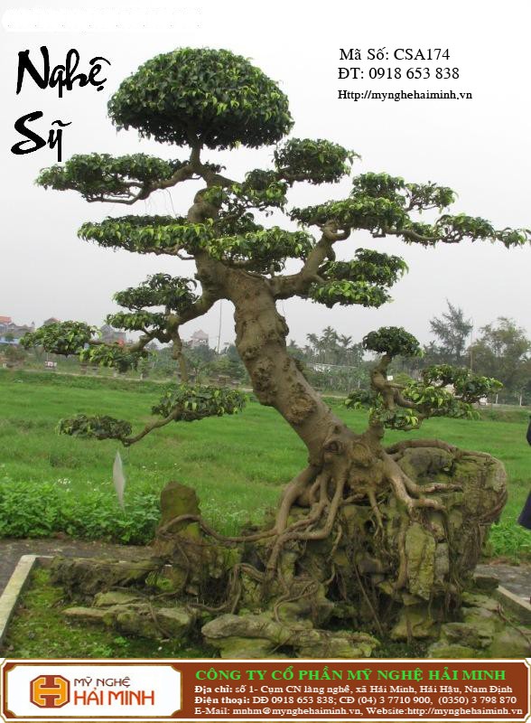 Do go my nghe Hai Minh - Hai Hau - Nam Dinh