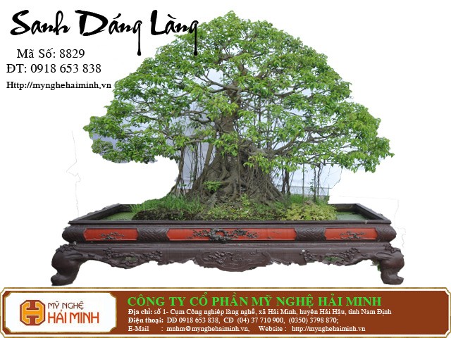 Do go my nghe Hai Minh - Hai Hau - Nam Dinh