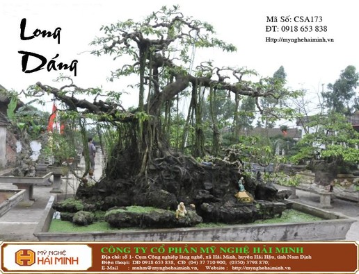 Đôi cây sanh - Long Giáng - mã số CSA173