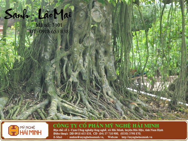 Do go my nghe Hai Minh - Hai Hau - Nam Dinh