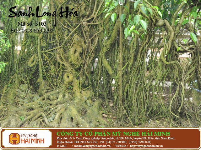 Do go my nghe Hai Minh - Hai Hau - Nam Dinh