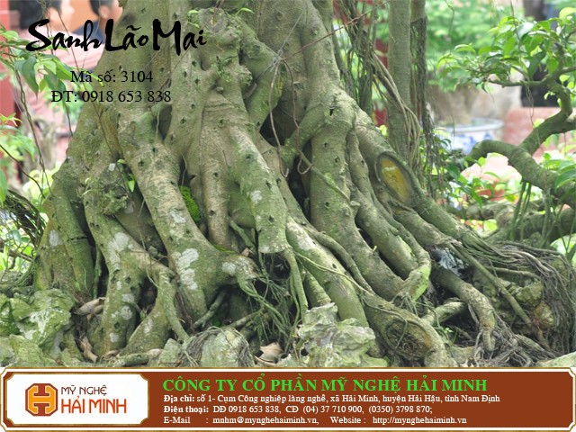 Do go my nghe Hai Minh - Hai Hau - Nam Dinh