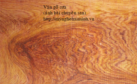 Ph&acirc;n biệt gỗ sưa, gỗ  trắc,  gỗ gụ v&agrave; c&aacute;c loại gỗ 10