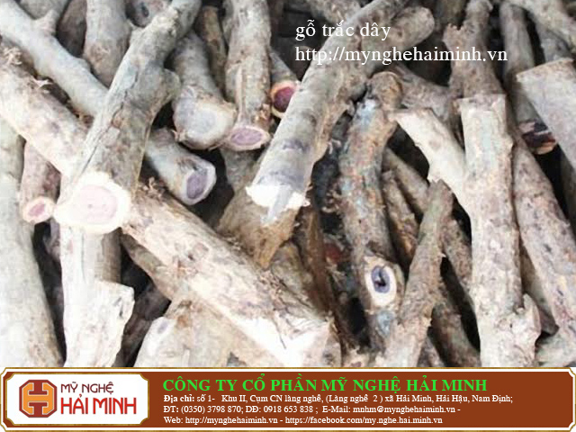 Ph&acirc;n biệt gỗ sưa, gỗ  trắc,  gỗ gụ v&agrave; c&aacute;c loại gỗ 20