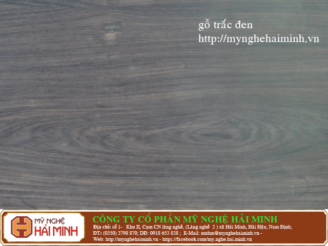 Ph&acirc;n biệt gỗ sưa, gỗ  trắc,  gỗ gụ v&agrave; c&aacute;c loại gỗ 19