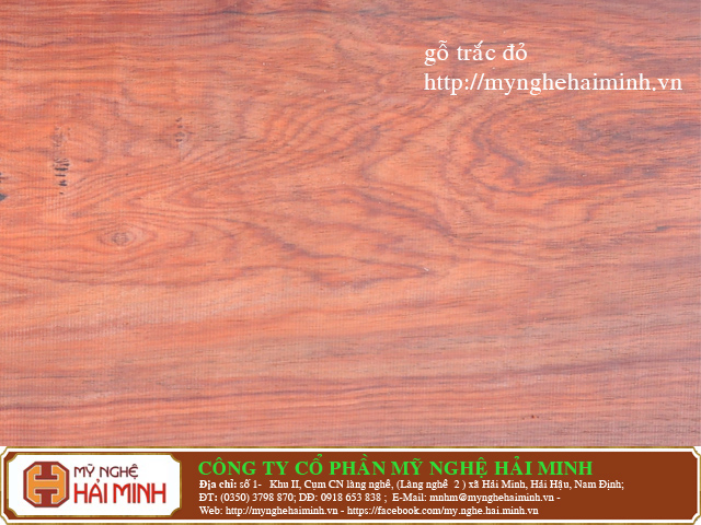Ph&acirc;n biệt gỗ sưa, gỗ  trắc,  gỗ gụ v&agrave; c&aacute;c loại gỗ 18